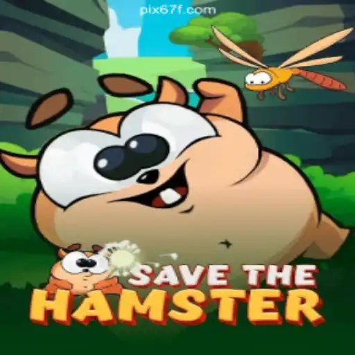 SavetheHamster: A Delightful Gaming Experience on 67F.COM Platform